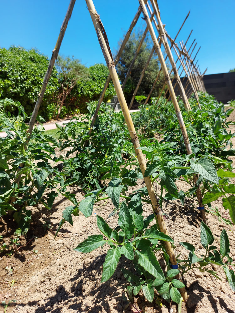 Espai Residència Sant Guardià