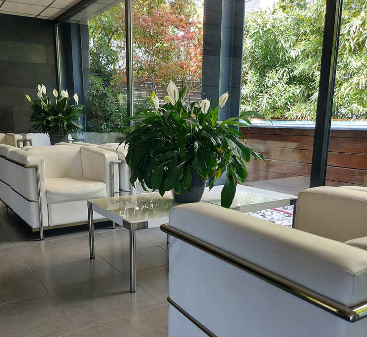 Espai Residència Sant Guardià